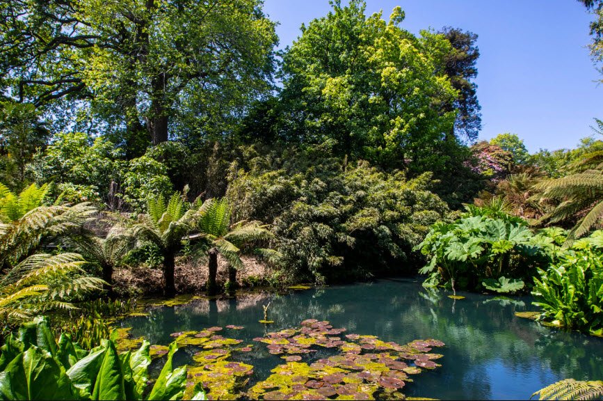 The Lost Gardens of Heligan, United Kingdom